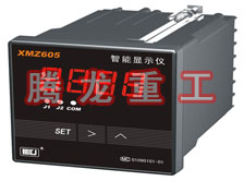 溫度表、數(shù)字顯示儀、濕度表